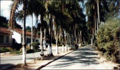 Rua dos Coqueiros