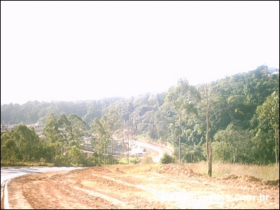 Av. João Martins