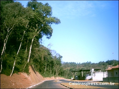 Av. João Martins
